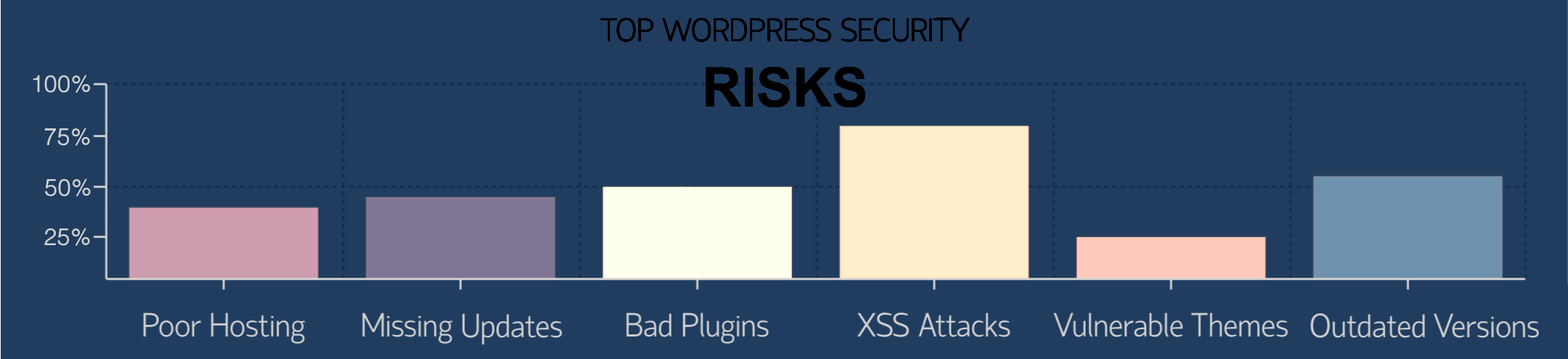 wordpress security risks